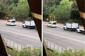 Spazzano la ciclabile e gettano i rifiuti nel giardino della scuola