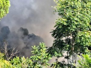 Roghi tossici sul Tevere, il municipio chiede l’intervento del governo: “I residenti sono esasperati”