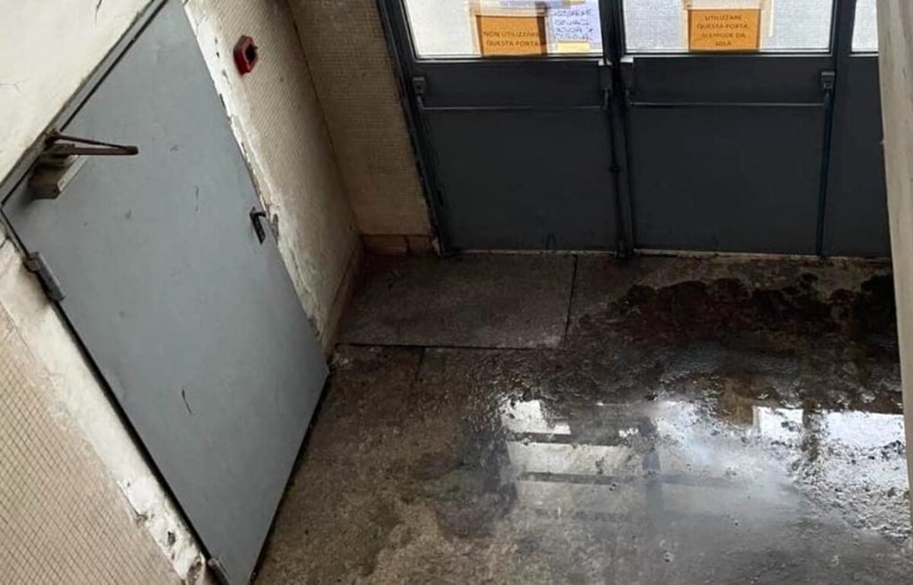 Topi e liquami negli uffici del comune: "Lì lavorano 400 persone"