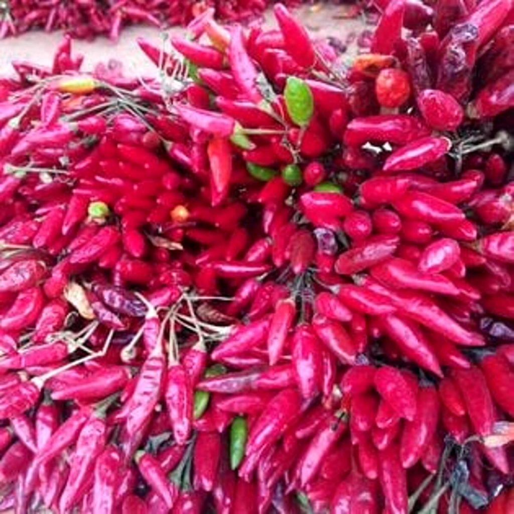 “HOTtobre Piccante” il Peperoncino Festival di Roma