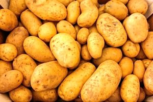 Leonessa, la patata è in sagra