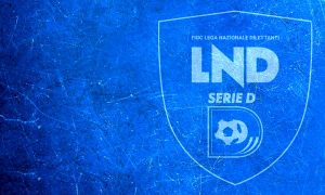 Serie D, i criteri dei playoff per la stagione 2023/2024