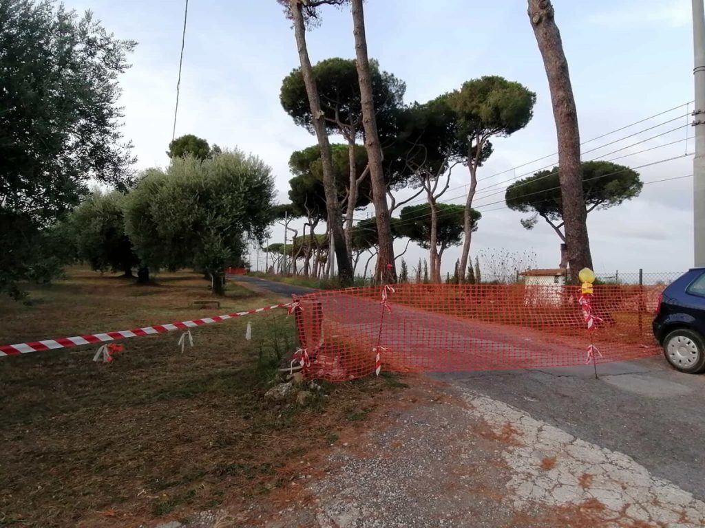 Albero pericolante e strada chiusa. Così il quartiere è rimasto “intrappolato”