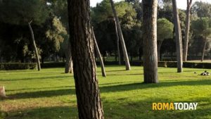 Fondi Pnrr, arrivano gli alberi: approvata la “forestazione” di 16 aree