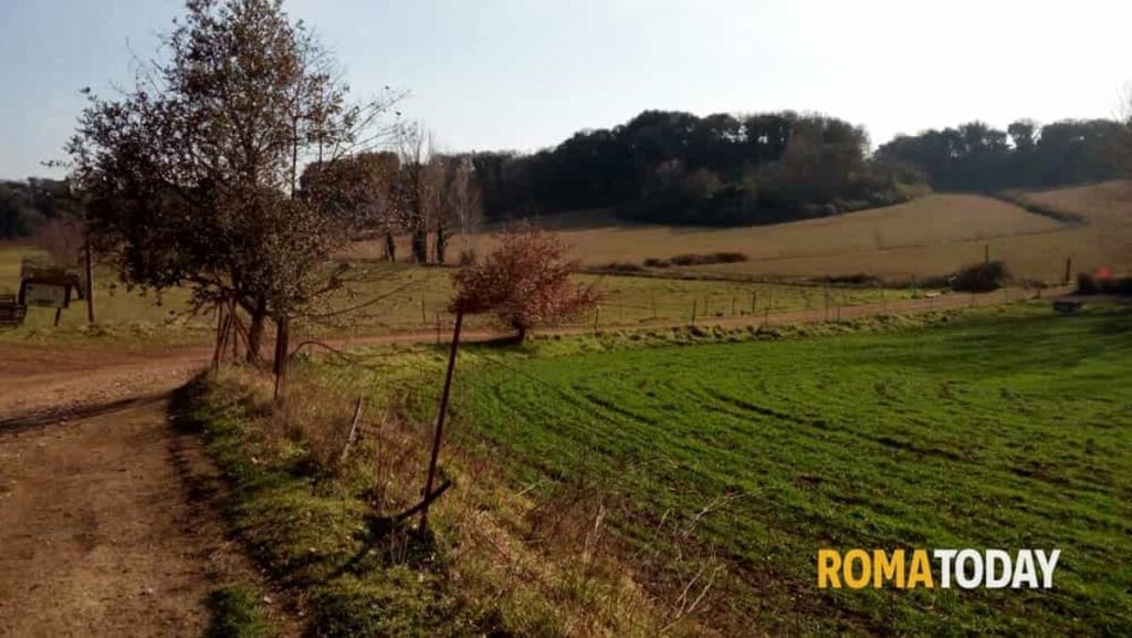 Roma dà la terra ai giovani. Il bando per assegnare quattro aree