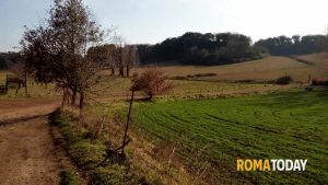 Roma dà la terra ai giovani. Il bando per assegnare quattro aree