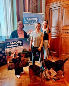 “L’amore non ha età”: al via la campagna per le adozioni di cani e gatti anziani