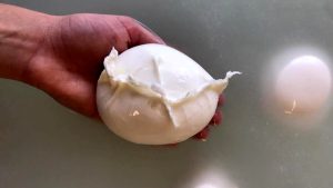 Ammano a Roma. L'azienda agricola che è rinata dalle sue difficoltà