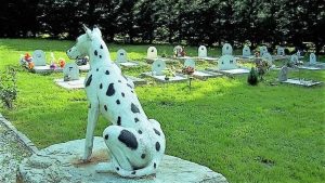 Roma nord vuole un cimitero pubblico per gli animali