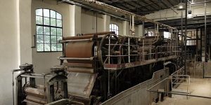 Cartiera Latina, visita guidata