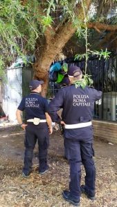 Colle Oppio: ritrovata donna scomparsa durante la bonifica del parco, era scappata da una clinica