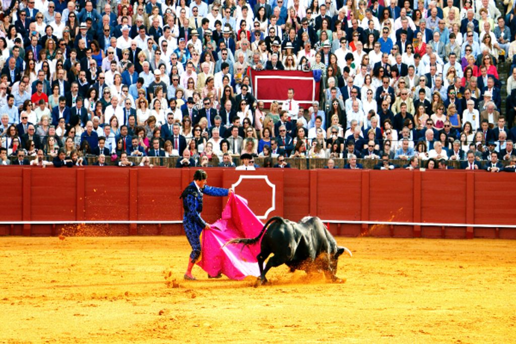 La corrida non sarà Patrimonio dell’Unesco