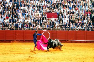 La corrida non sarà Patrimonio dell’Unesco