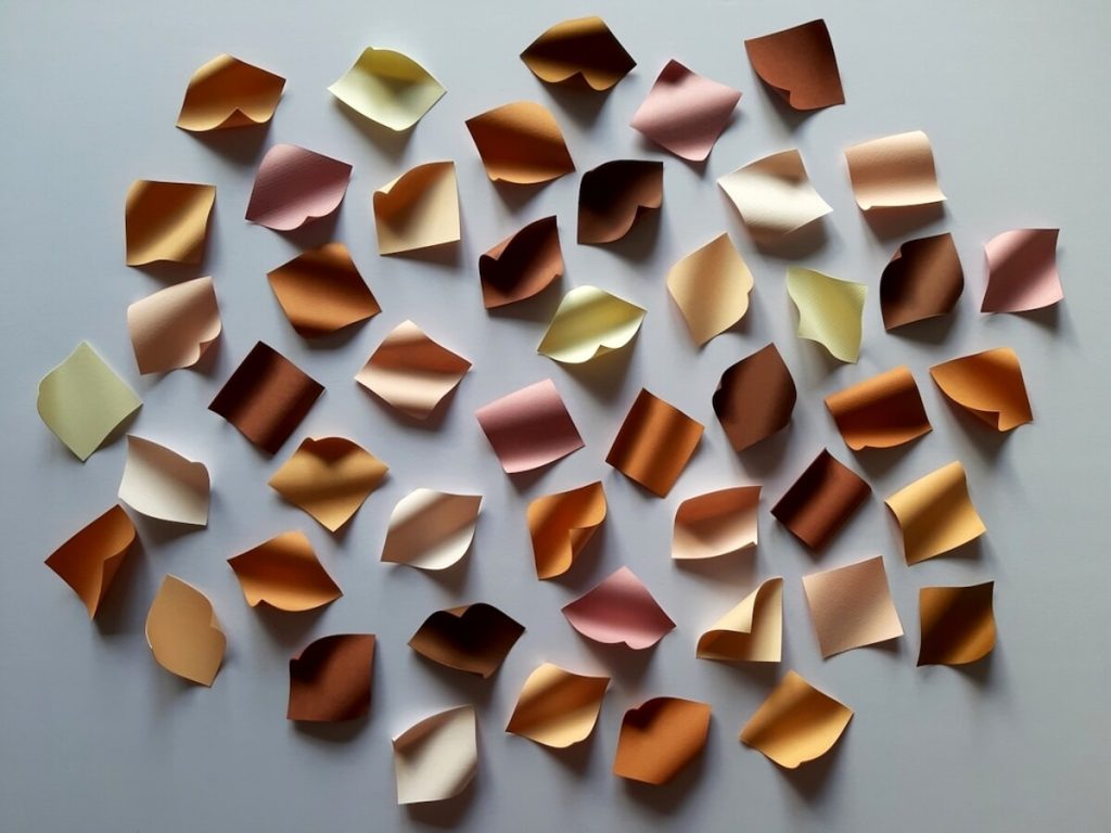 Ectoderma - installazione di Emanuela Mastria