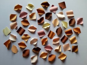 Ectoderma - installazione di Emanuela Mastria