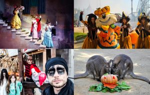 Weekend a Roma: 12 eventi da non perdere sabato 28 e domenica 29 ottobre