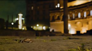 "L’impero della Natura. Una notte al Parco del Colosseo", arriva il premio alla Festa del Cinema