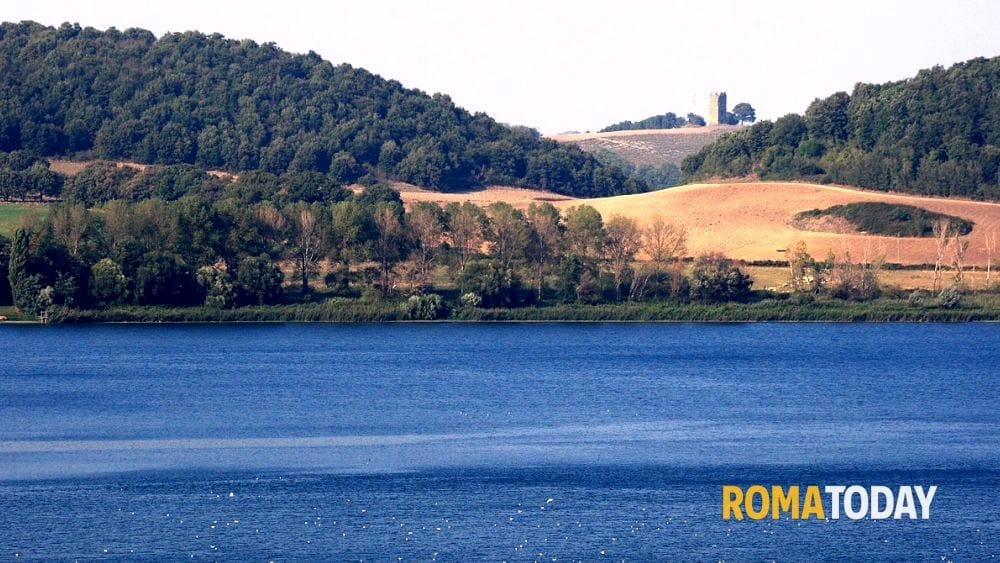 Salute dei laghi minacciata dalle nocciole? Da Martignano a Vico monta la preoccupazione