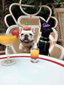 Spooky Halloween al Mama Shelter Roma