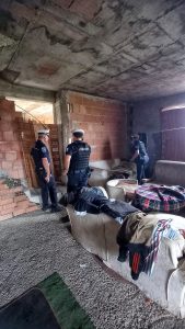 Senza acqua e luce, sommersi dai rifiuti: liberate due villette occupate