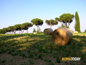 Una passeggiata per reclamare la Greenway di Roma nord