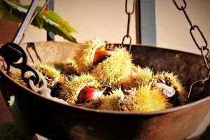 Sagra del Marrone a Segni
