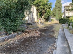 Verano, il Campidoglio progetta il rilancio ma il cimitero resta nel degrado