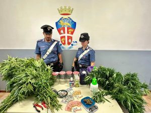 Roma, cocaina e marijuana in ogni zona della città: 16 pusher arrestati in poche ore