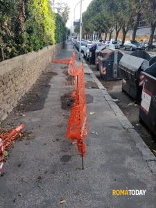 Lettori - Topi a Portonaccio, AMA dove sei?