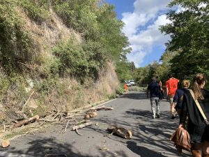 Da Grottarossa a Cesano, 765 mila euro per la messa in sicurezza dei costoni pericolanti