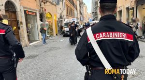Cane cade da un palazzo e colpisce una donna incinta