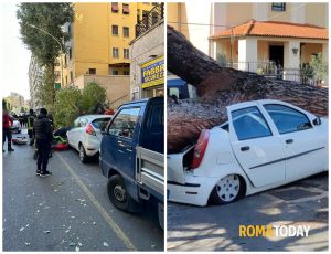 Roma, alberi crollati in città : morta un'anziana e 6 persone ferite. 160 gli interventi