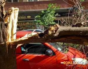 Vento a Roma, tragedia sfiorata alla Garbatella: due alberi crollano sulle auto