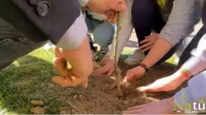 Un albero per il futuro: riforestazione 2000 alberi a Cinecittà World