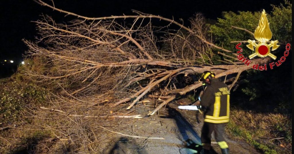 Ciaran a Roma e provincia, 200 interventi per alberi caduti