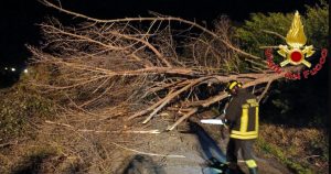 Ciaran a Roma e provincia, 200 interventi per alberi caduti