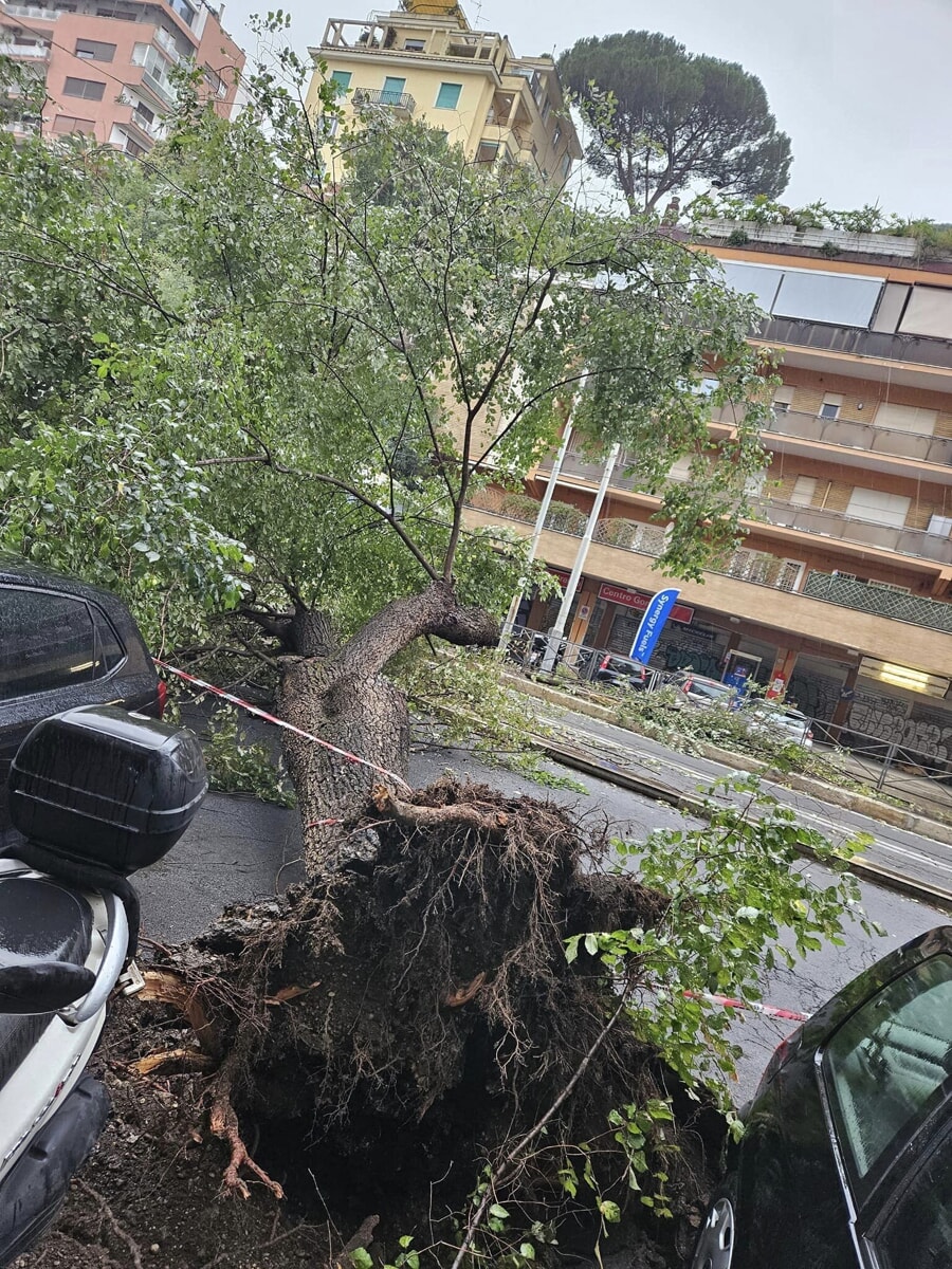Maltempo, a Roma albero crolla sul tram. Tromba d'aria a Fregene
