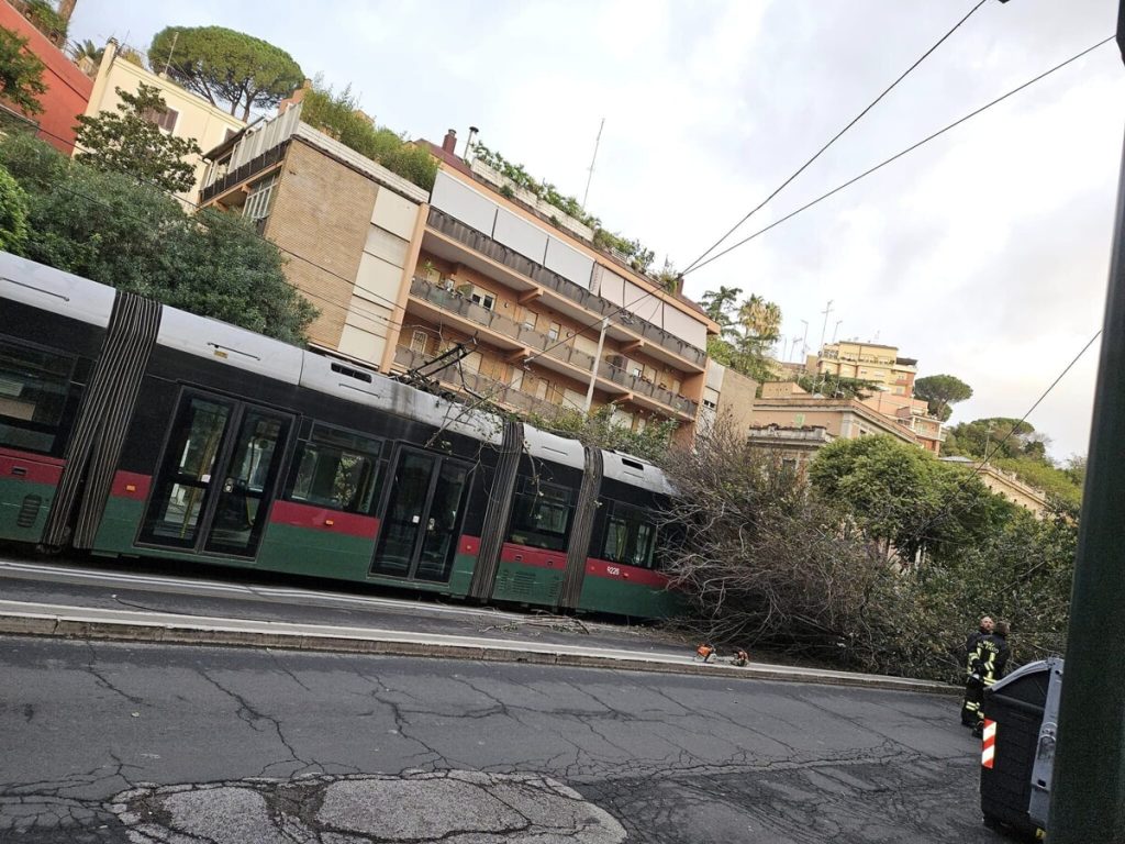 Paura a Roma: albero crolla su tram in marcia