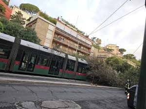 Paura a Roma: albero crolla su tram in marcia