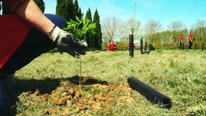 Un bosco urbano di 3 ettari nel quartiere di Roma sud