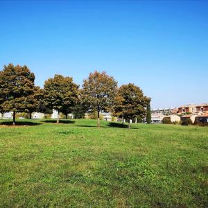 Collinetta Boccea: al via la riqualificazione del parco di Torrevecchia
