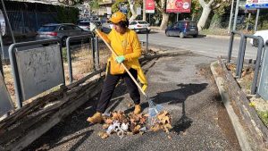 Continuano gli interventi di cura per l’ambiente nella Capitale