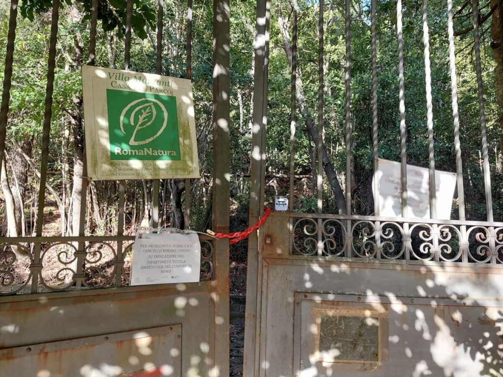 Nel parco di Monte Mario saranno abbattuti 200 pini
