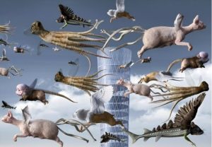 Emotion, la mostra che "racconta le emozioni" al Chiostro del Bramante