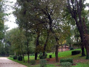 Parco San Sebastiano, il Campidoglio stanzia un milione per l'antico polmone verde