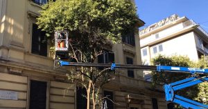 Ricominciano le potature nel II municipio. In due anni 10mila interventi