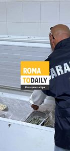 Topi congelati e insetti, a Roma ristoranti da incubo. Si vota per Expo 2030. ASCOLTA il podcast di oggi 28 novembre