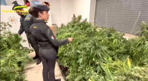 La villa "verde" con 450 piante di marijuana