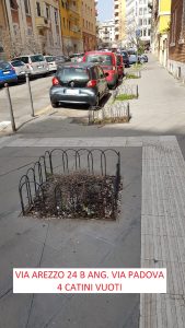 “Mancano centinaia di alberi”: i cittadini fotografano i marciapiedi spogli del Nomentano