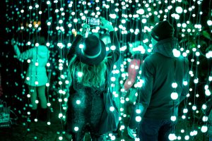 "Trame di luce", mostra immersiva di light art all'Orto Botanico
